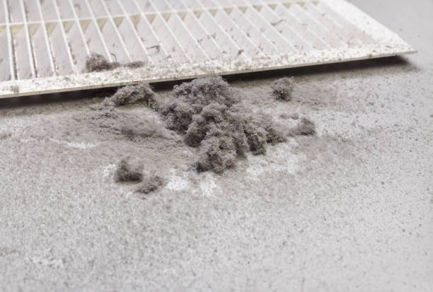 Best Affordable Air Duct Cleaning  in La Porte, IN