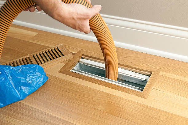 Best Air Duct Mold Removal  in La Porte, IN