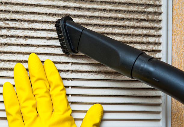 Best Local Air Duct Cleaning Services  in La Porte, IN